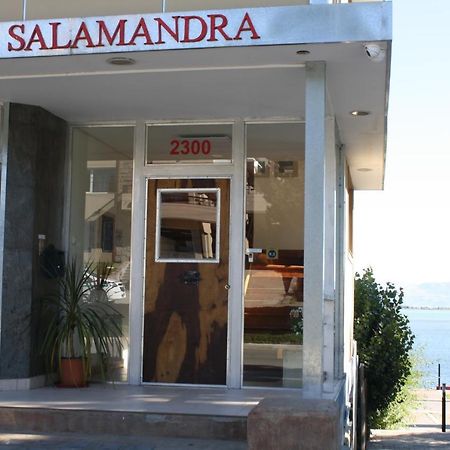 Salamandra Apartamentos El Calafate Esterno foto
